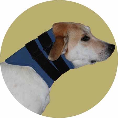 Картинка бандаж для шеи для собаки от Zooplaneta.shop