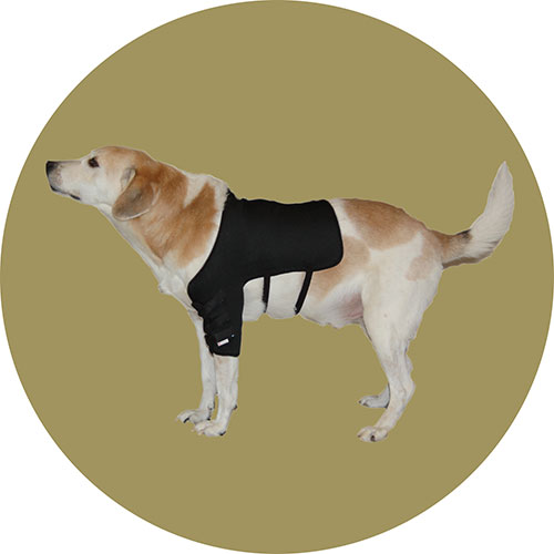 Бандаж плечевого сустава для собаки (правый). Размер XXS