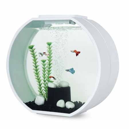Картинка аквариум для декоративных рыб deco 10 л от магазина Zooplaneta.shop