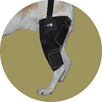 Ортопедический бандаж для собаки на левое колено Вет М. Размер XXL(1)