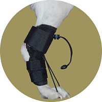 Бандаж-стабилизатор для задних лап для собак. Размер M