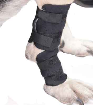 Бандаж для скакательного сустава собак Дружок. Размер XS