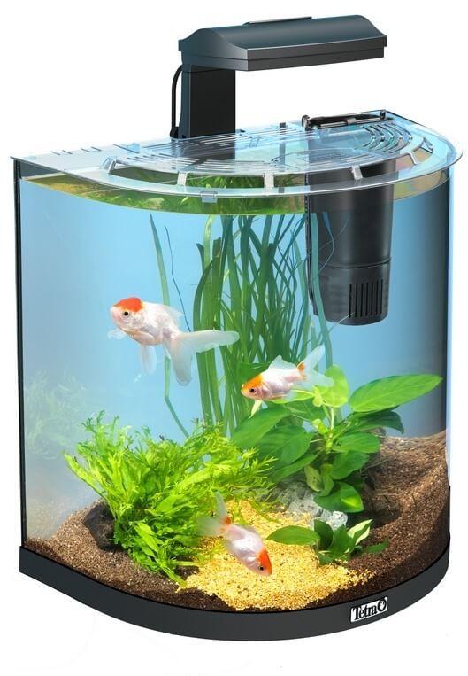 Картинка маленький аквариум для начинающих tetra aquaart goldfish от магазина Zooplaneta.shop