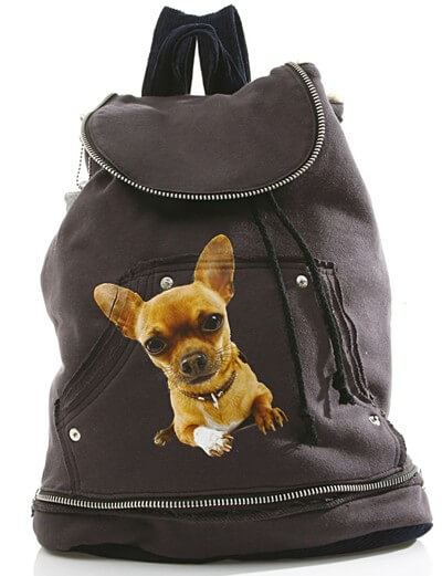 Картинка рюкзак с изображением собаки от магазина Zooplaneta.shop