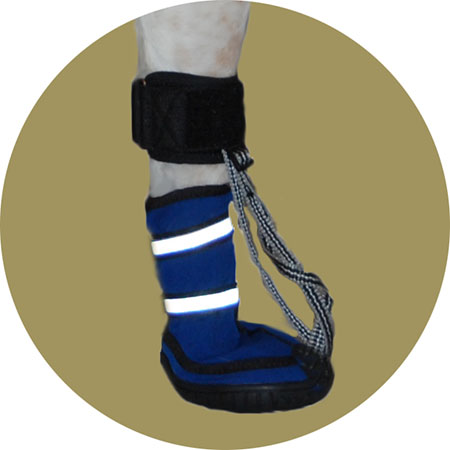 Ботинок-стабилизатор для собак для передних лап. Размер L