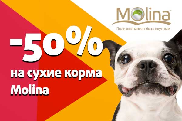 Molina. Акция «Скидка -50% на сухой корм для собак Molina»