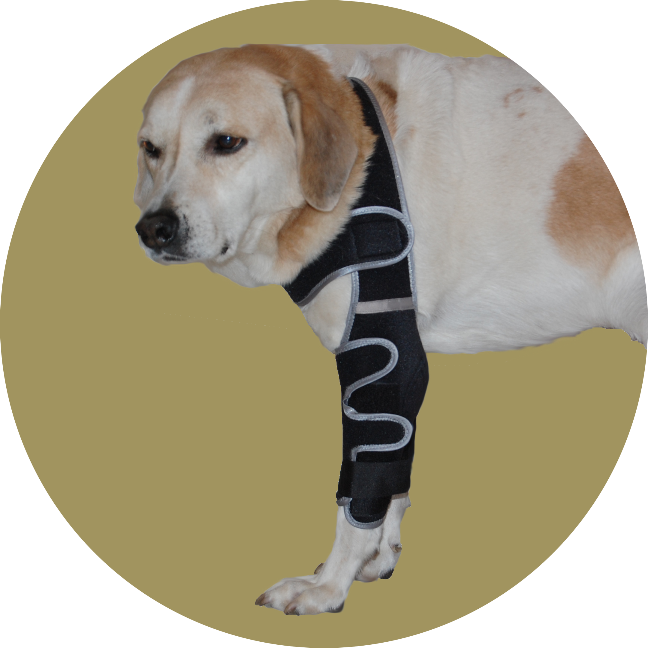 Бандаж локтевого сустава для собак (правый). Размер XL