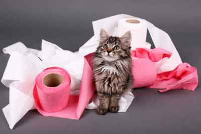 Как сделать Кота из бумаги своими руками | Оригами Кошка для детей | Фигурка Животного без клея