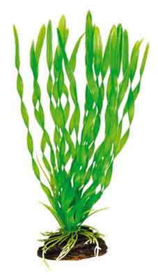 Картинка декоративное искусственное растение для аквариума 19 см от магазина Zooplaneta.shop