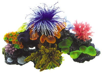 Картинка коралловый риф с мягкими кораллами от магазина Zooplaneta.shop