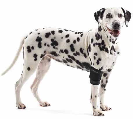 Протектор на локтевой сустав для собак. Размер М