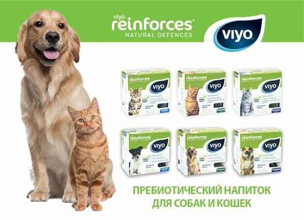 Новинка! Пребиотики для животных Viyo