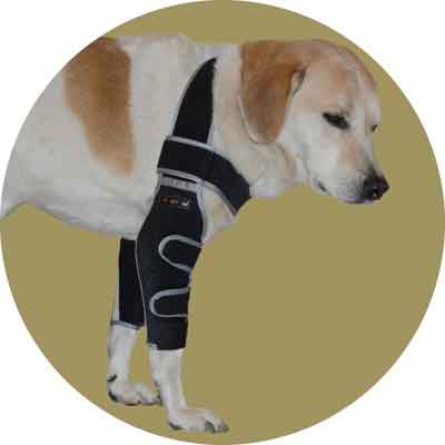Бандаж локтевого сустава для собак (двухсторонний). Размер XL