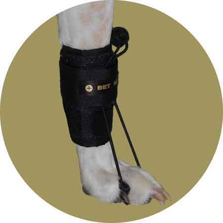 ортопедическая обувь для собак на передние конечности