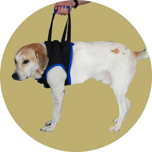 Шлейка для травмированных собак. Размер S