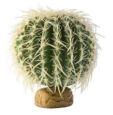 Картинка exoterra растение для террариума кактус от зоомагазина Zooplaneta.shop