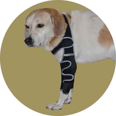 Бандаж локтевого сустава для собак (правый). Размер М