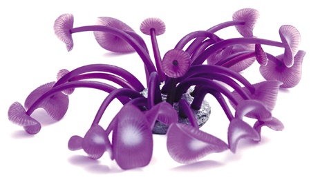 Картинка мягкий коралл для аквариума яркой фиолетовой расцветки от магазина Zooplaneta.shop