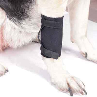 Бандаж для запястья для собак Дружок. Размер M