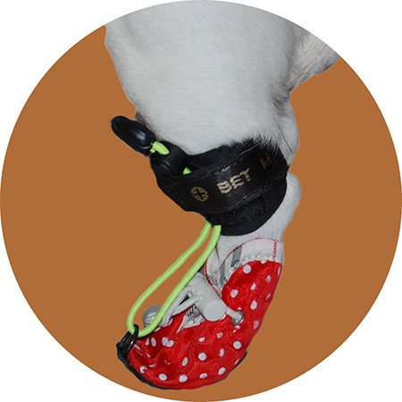 Носок-стабилизатор для собак маленьких пород для задних лап. Размер XS