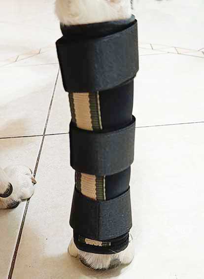 Бандаж на запястье передней лапы для собак. Размер M