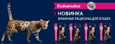 НОВИНКА: EUKANUBA паучи для кошек