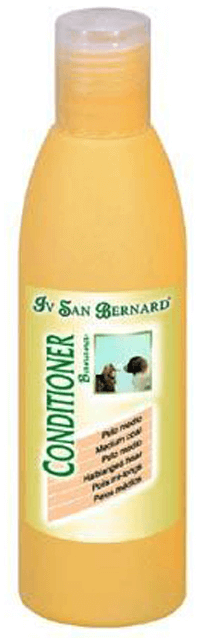 Iv san bernard