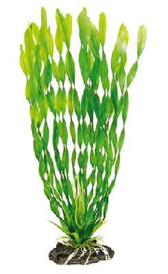 Картинка растение аквариумное из пластика 29 см от магазина Zooplaneta.shop