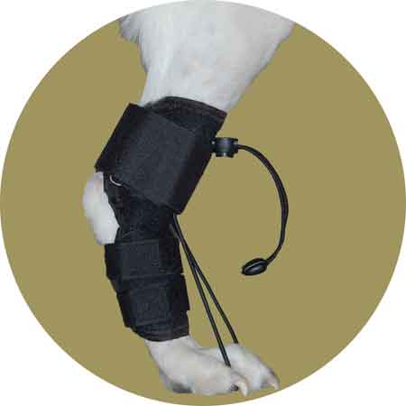 Регулируемая коляска-тренажер для собак L