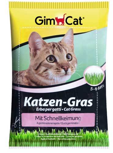 Картинка домашняя трава для кошек от зоомагазина Zooplaneta.shop
