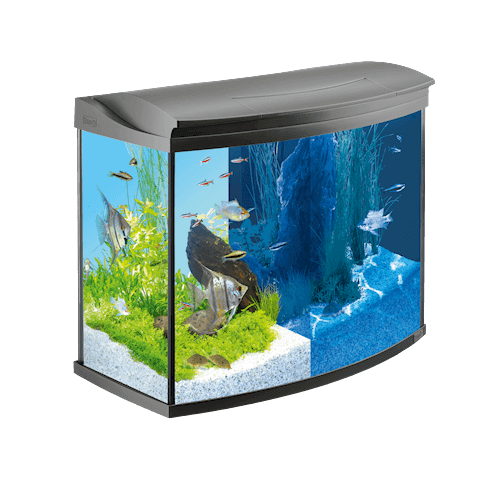 Картинка аквариум 130 литров tetra aquaart led goldfish от магазина Zooplaneta.shop