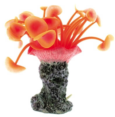 Картинка мягкий коралл для аквариума с распылителем от магазина Zooplaneta.shop