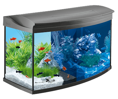Картинка аквариум 100 л с оборудованием tetra aqua art от магазина Zooplaneta.shop