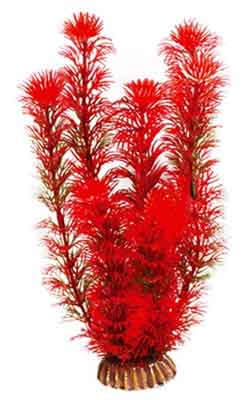 Картинка декоративное растение для аквариума 25 см от магазина Zooplaneta.shop
