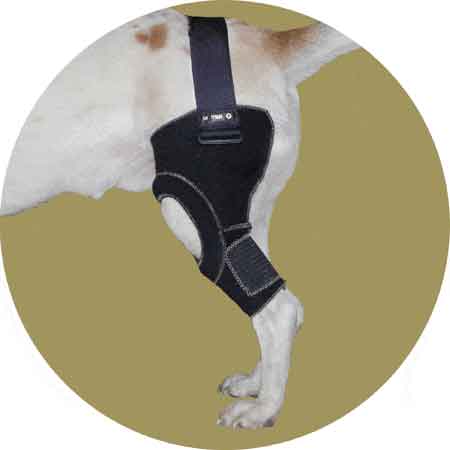 Картинка фиксатор коленного сустава для собак левый вет м от Zooplaneta.shop