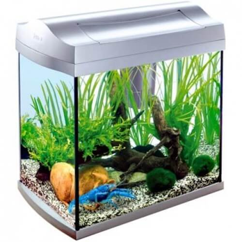 Картинка аквариум для креветок tetra aquaart crayfish discover line от магазина Zooplaneta.shop
