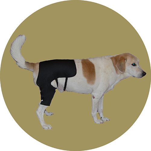 Бандаж на бедро для собаки (двухсторонний). Размер M