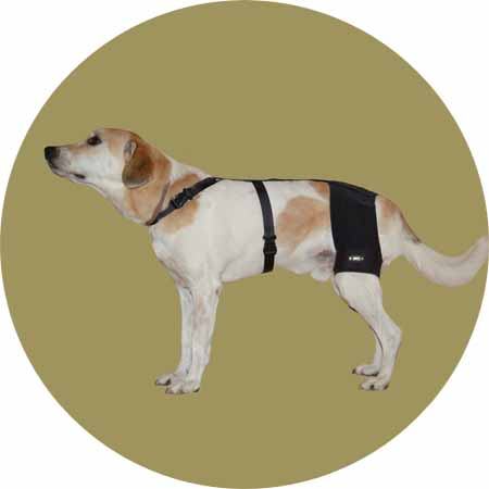Картинка бандаж тазобедренного сустава для собаки вет м от Zooplaneta.shop