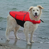 Спасательный жилет для собак