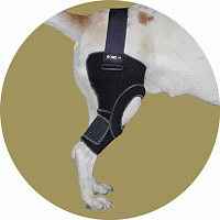 Бандаж на правое колено для собаки Вет М. Размер XL