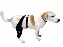 Фиксатор колена для собак с шарнирами