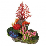 Коралловый риф для аквариума