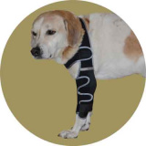 Бандаж локтевого сустава для собак