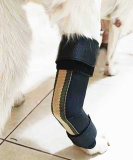 Бандаж для собак на заднюю лапу