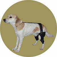 Фиксатор на колено для собаки двухсторонний Вет М. Размер XS(2)