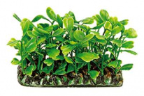Пластиковое растение аквариумное 6 см