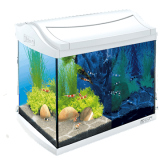 Аквариум для креветок Tetra Aqua Art Shrimps Discover Line 20 л