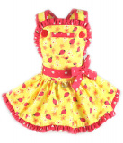 Cарафан для маленькой собачки Floral Ladybugs