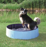 Пластиковый бассейн для собаки