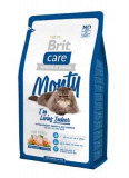 Корм для домашних кошек Indoor Brit Care Monty